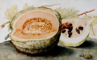 A cantaloupe and a slice of watermelon by Giovanna Garzoni